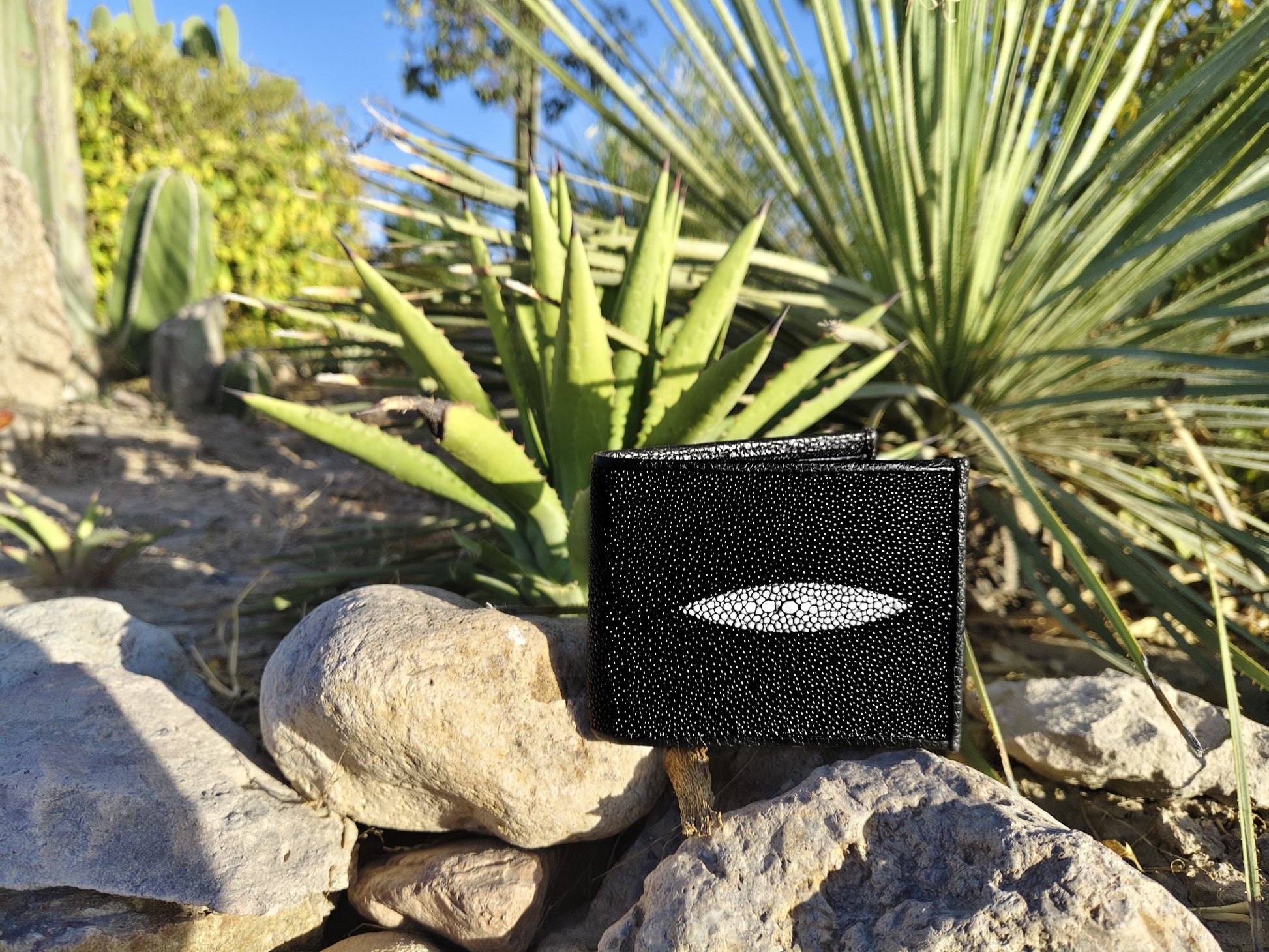 Cartera Mantarraya