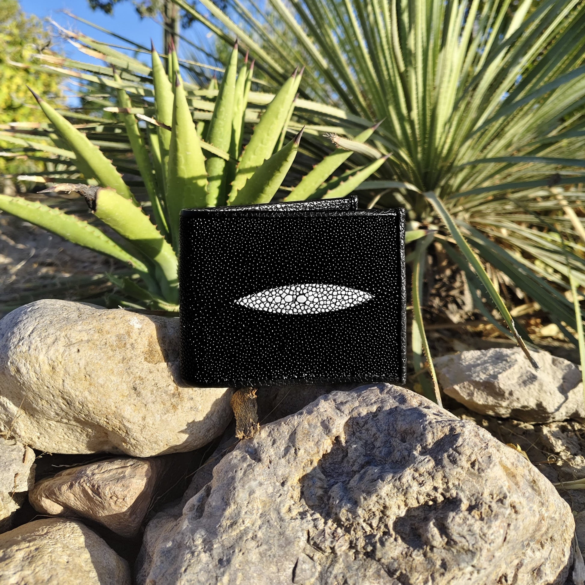 Cartera Mantarraya