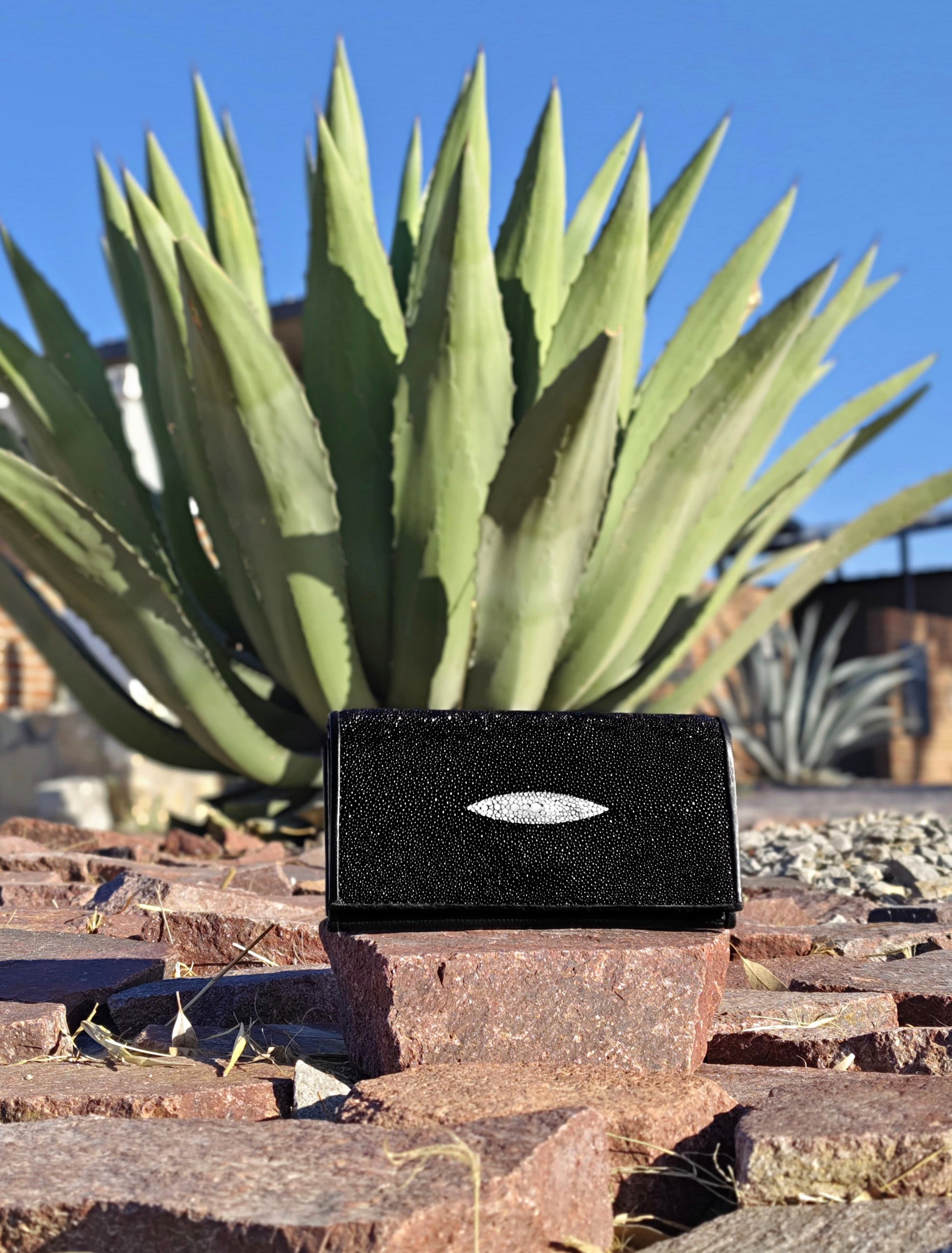 Cartera Mantarraya Para Dama