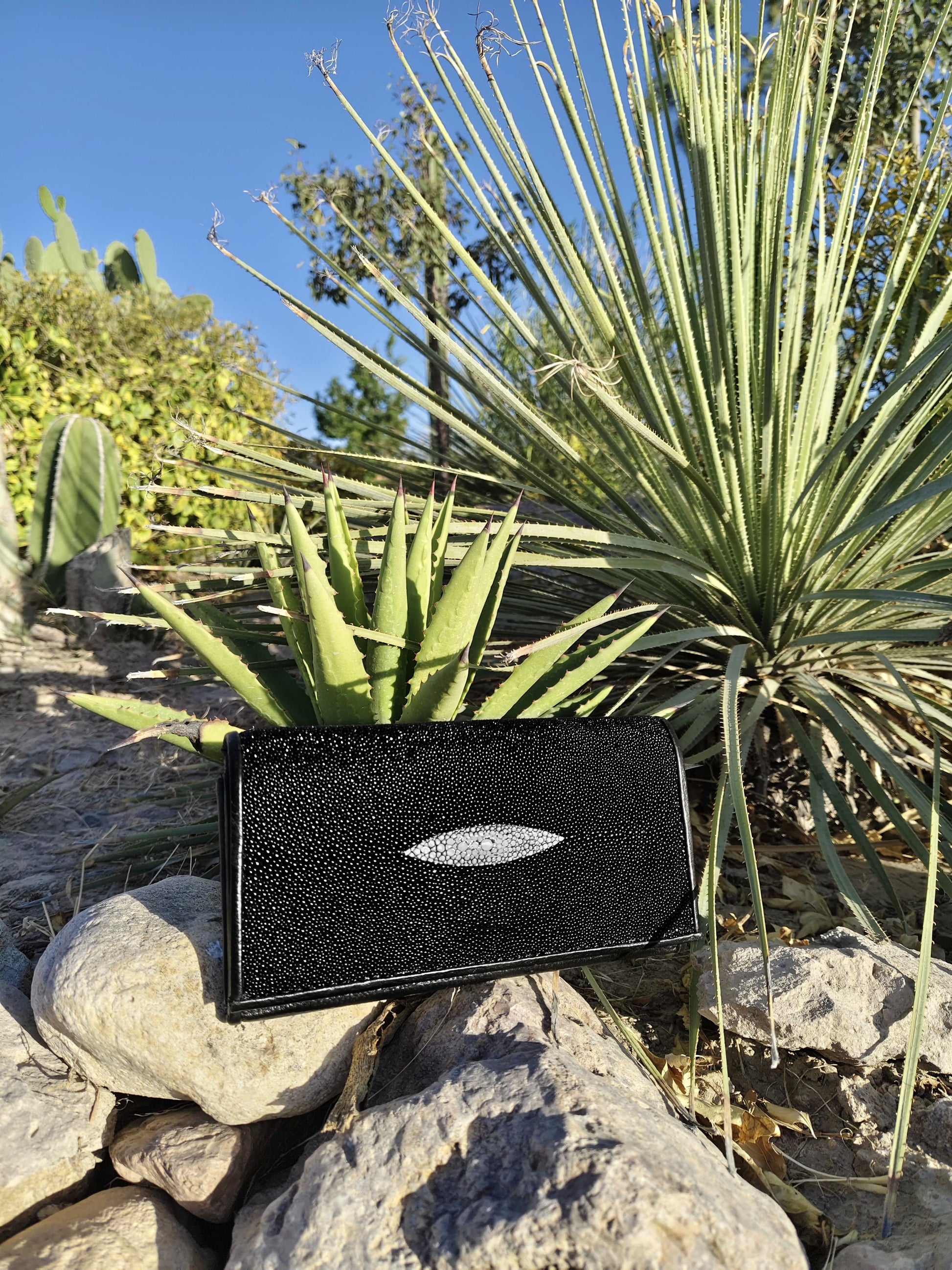 Cartera Mantarraya Para Dama