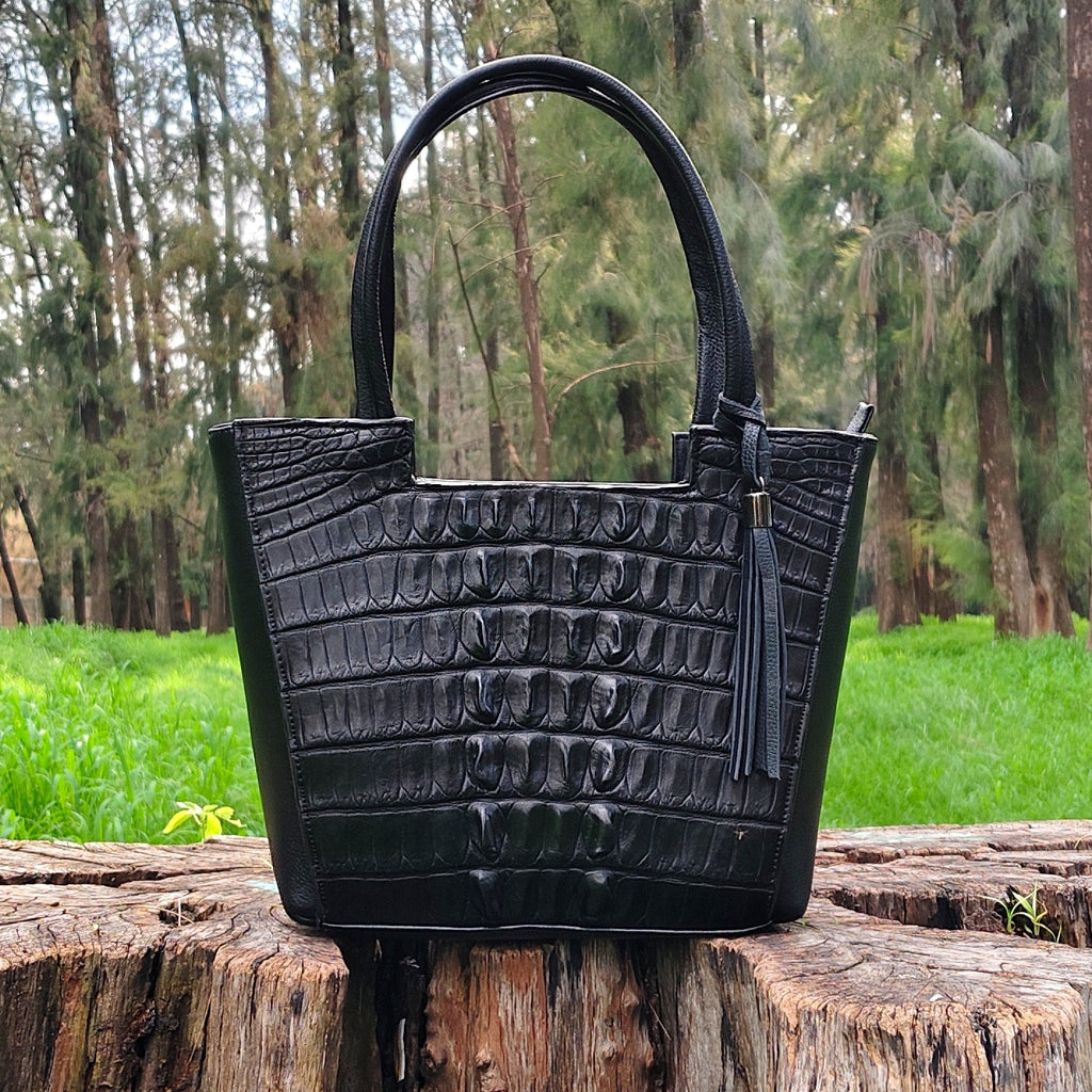 Colección: Cocodrilo
