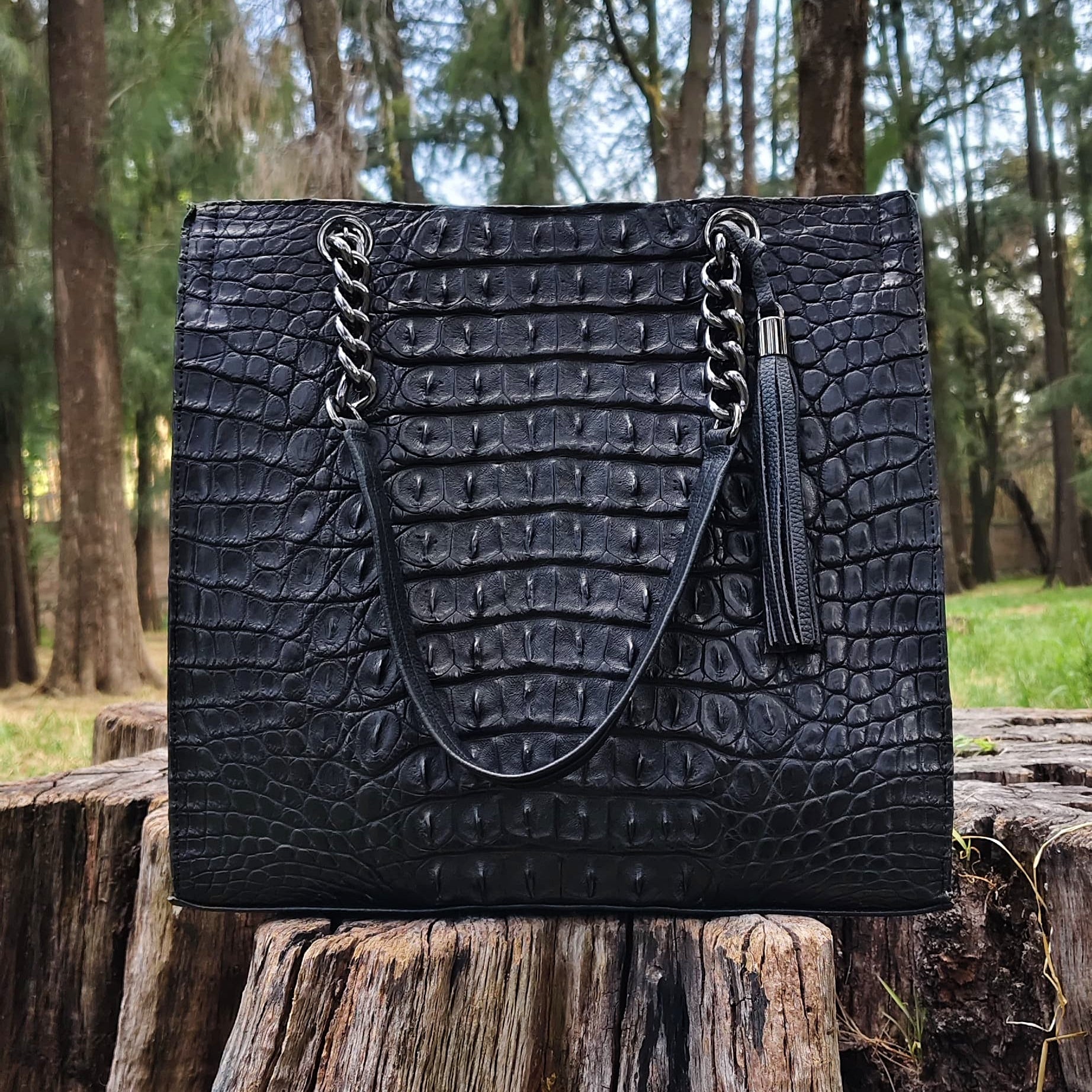 Bolso De Cocodrilo Modelo Martina