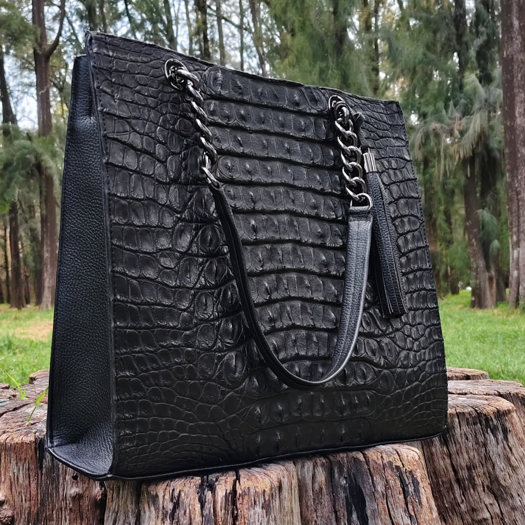 Bolso De Cocodrilo Modelo Martina