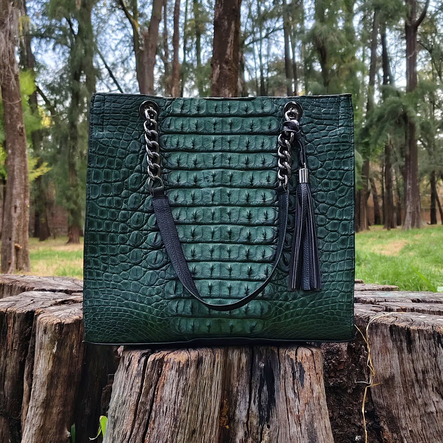 Bolso De Cocodrilo Modelo Martina