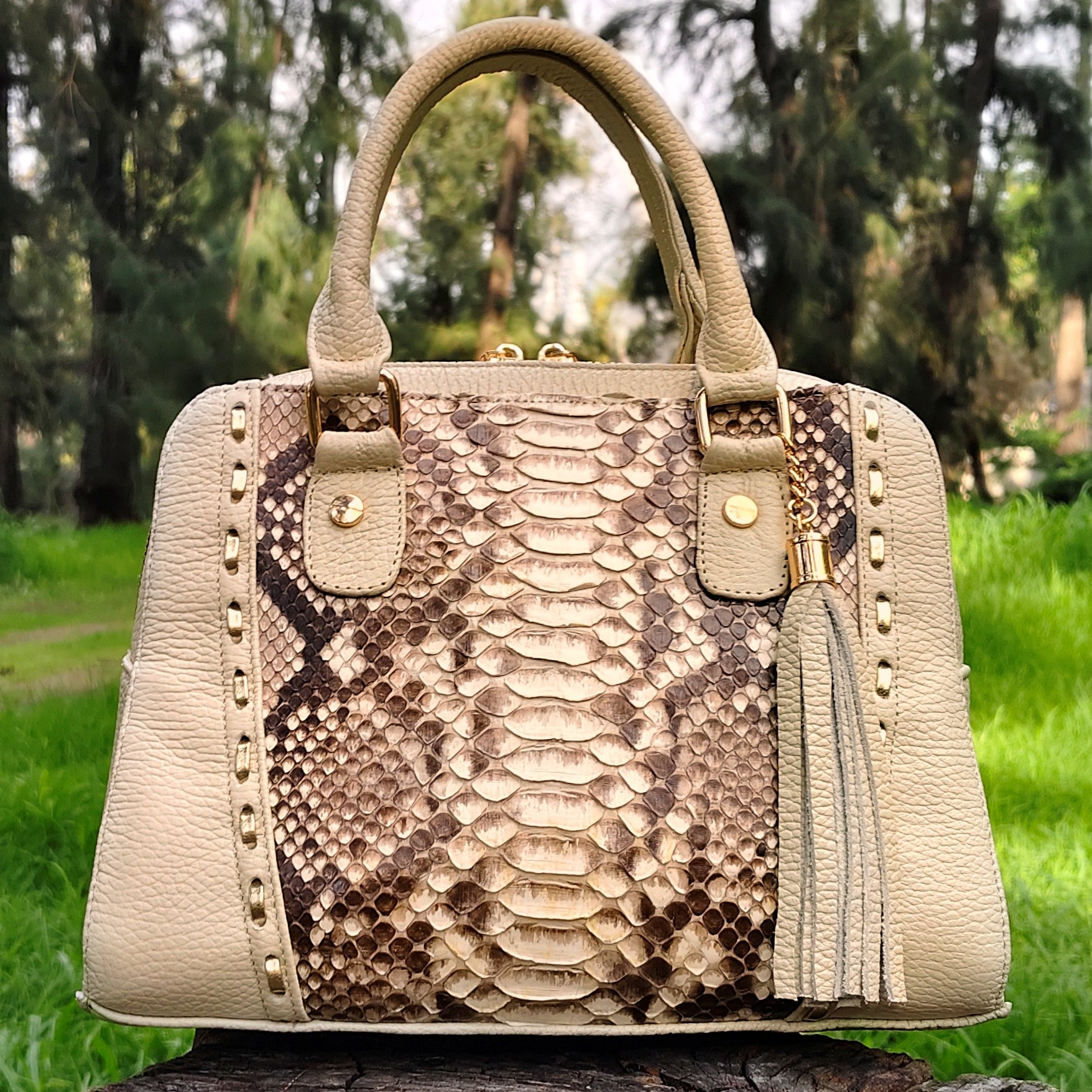Bolso De Pitón Modelo Carolina