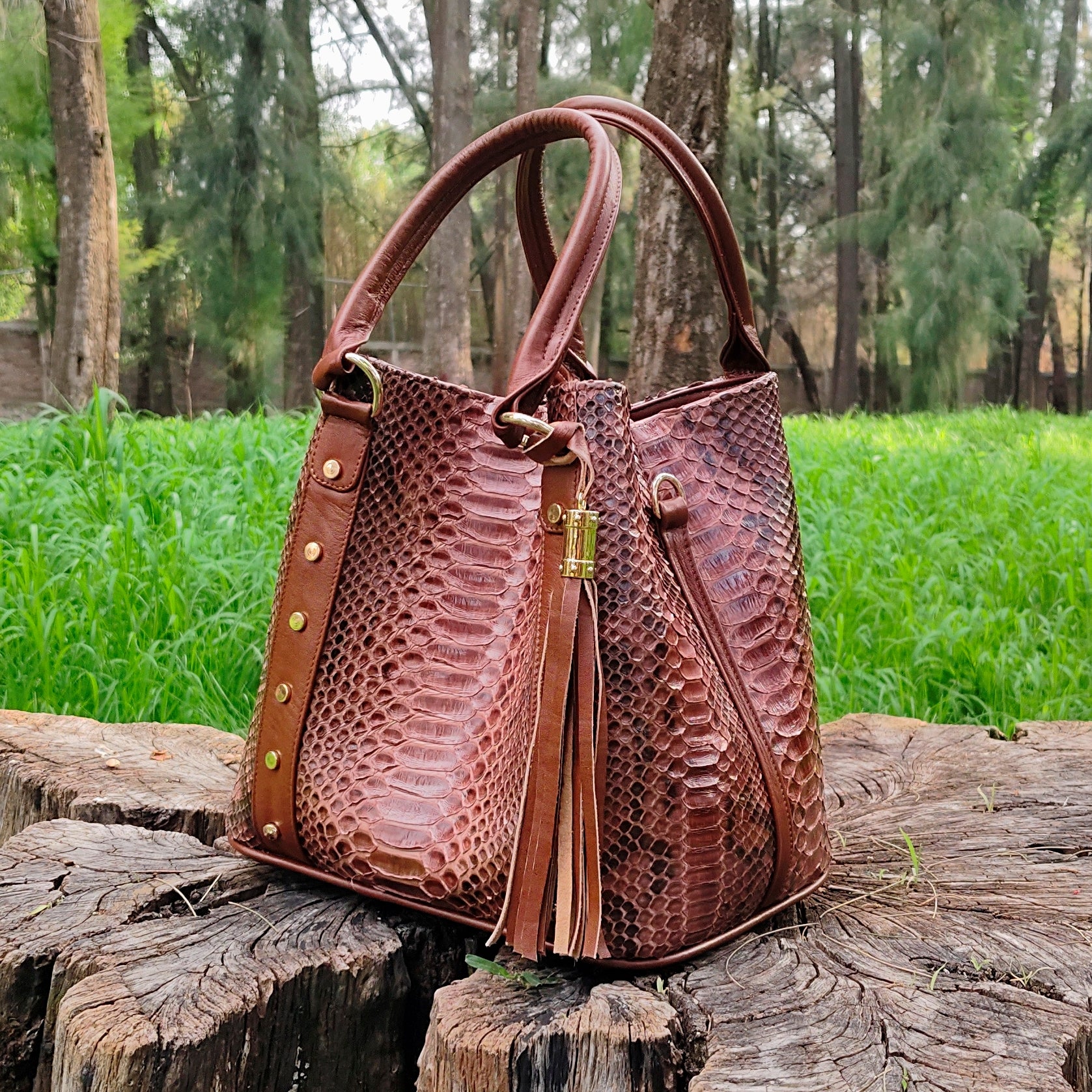 Bolso De Pitón Modelo Sofia