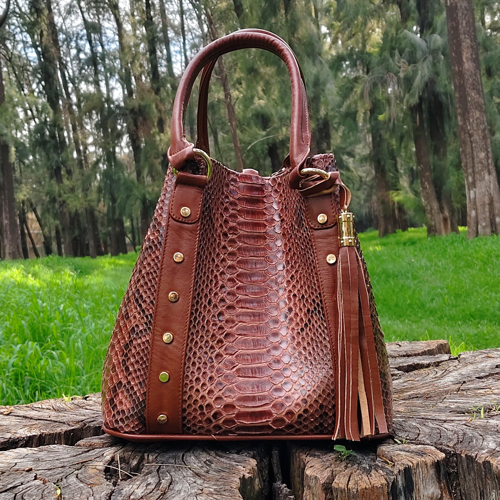 Bolso De Pitón Modelo Sofia