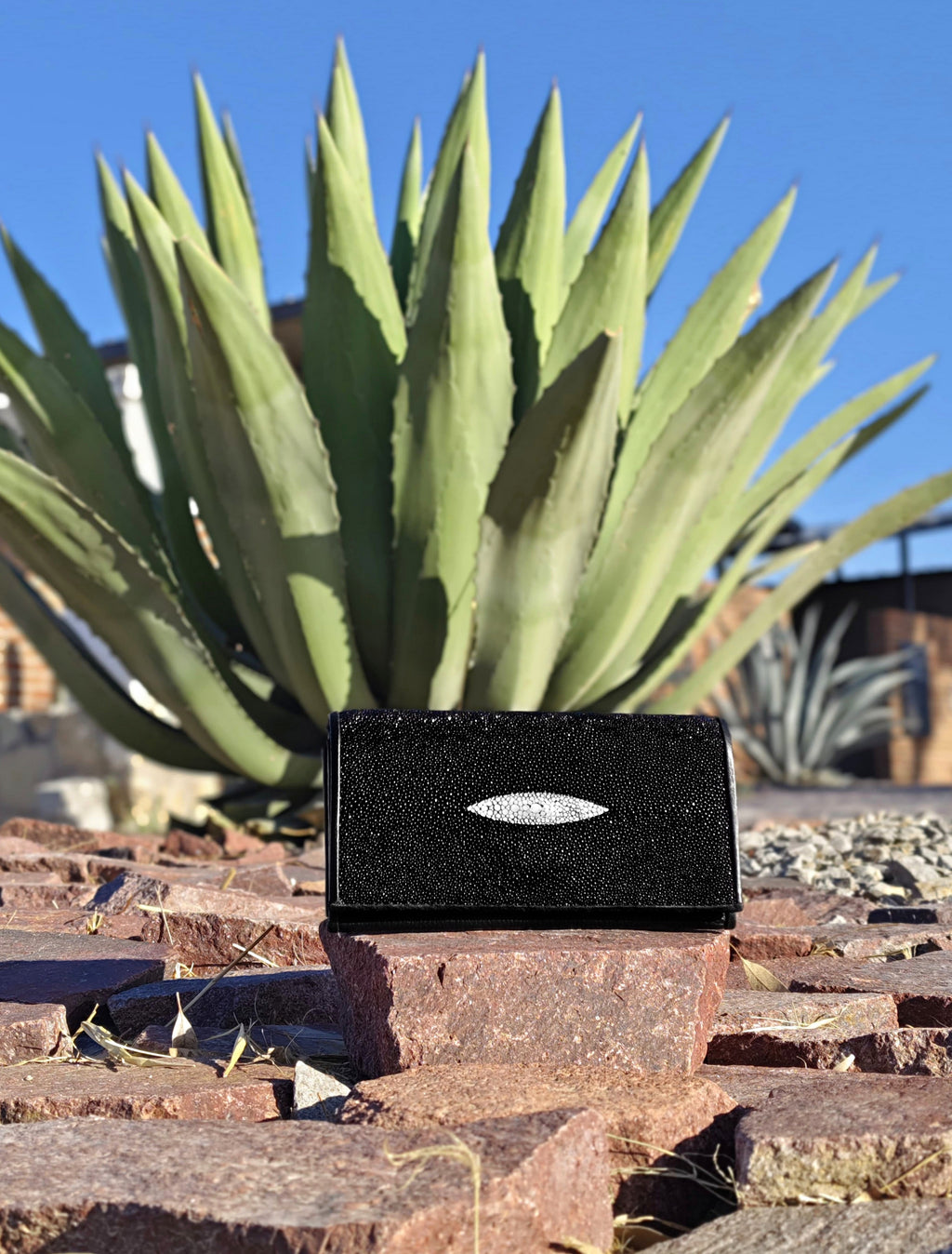 Cartera Mantarraya Para Dama