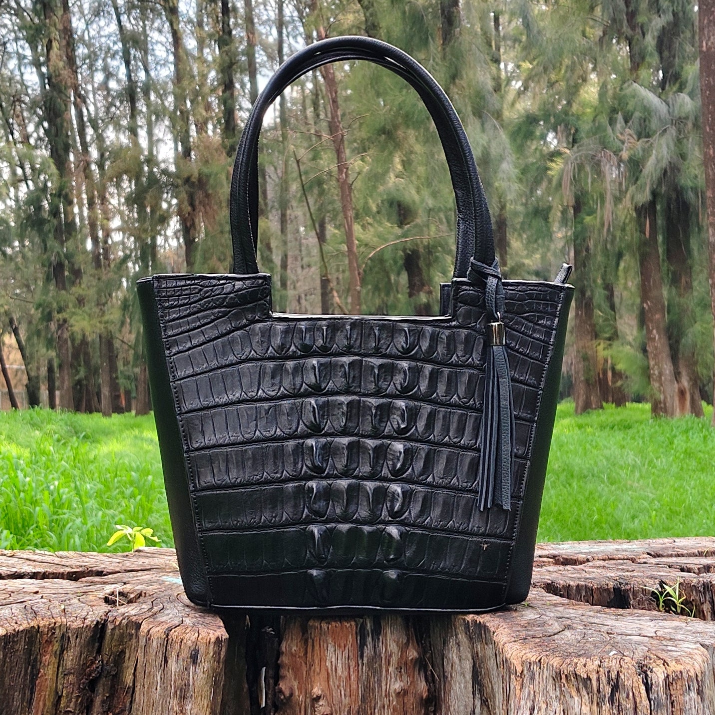 Bolso De Cocodrilo Modelo Ofelia